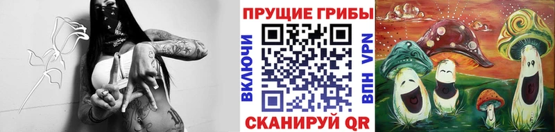 Псилоцибиновые грибы Psilocybine cubensis  darknet наркотические препараты  Краснодар  ссылка на мегу зеркало 